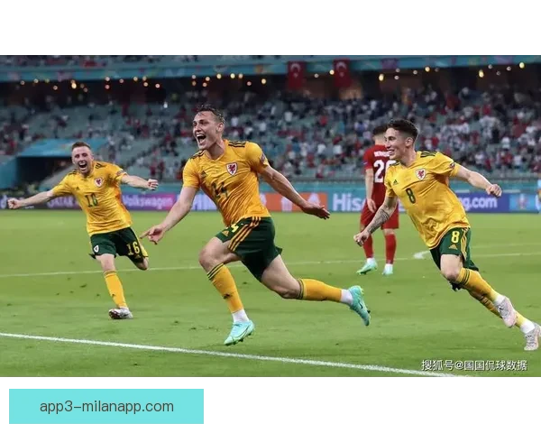 威尔士足球超级联赛直播精彩对决全程解析与观赛指南最新赛况深度前瞻