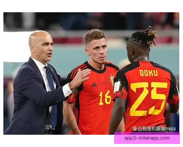 比利时足球国家队黄金一代的崛起挑战与未来之路世界赛场的荣耀与考验